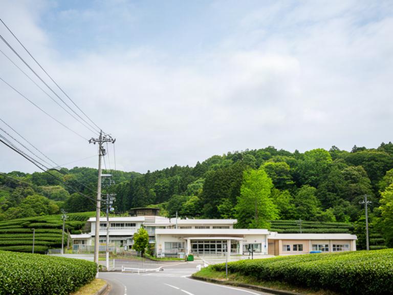 静岡県牧之原市の緑豊かな道路と地域施設へ向かう落ち着いた風景